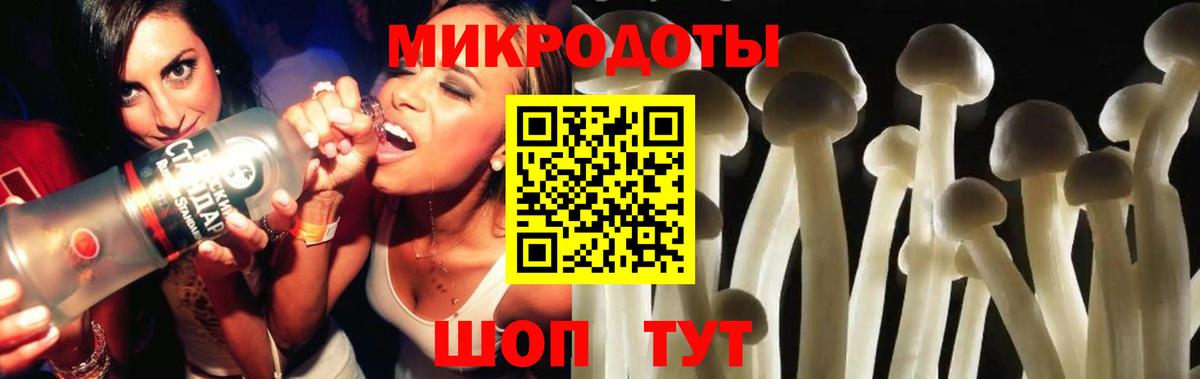 Фролово  Псилоцибиновые грибы Magic Shrooms  Вход с VPN  Галлюциногенные грибы Cubensis 